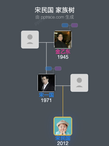 宋民国 家族树全览