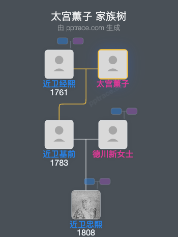 太宫薫子家族树全览