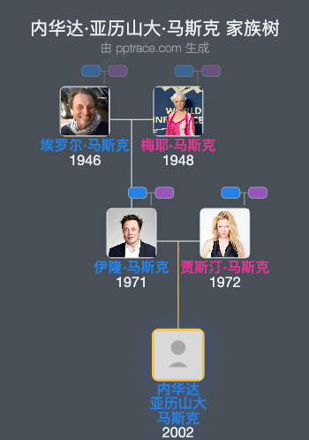 内华达·亚历山大·马斯克 家族树全览
