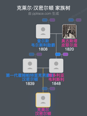 克莱尔·汉密尔顿家族树全览