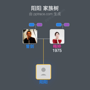 阳阳 家族树全览