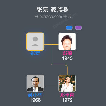 张宏 家族树全览