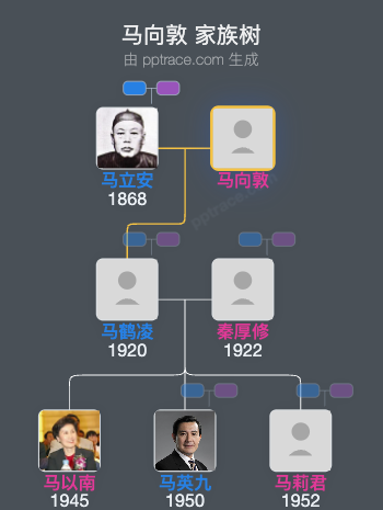 马向敦家族树全览