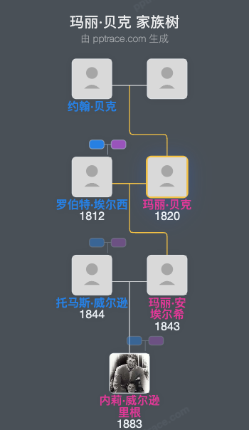玛丽·贝克家族树全览