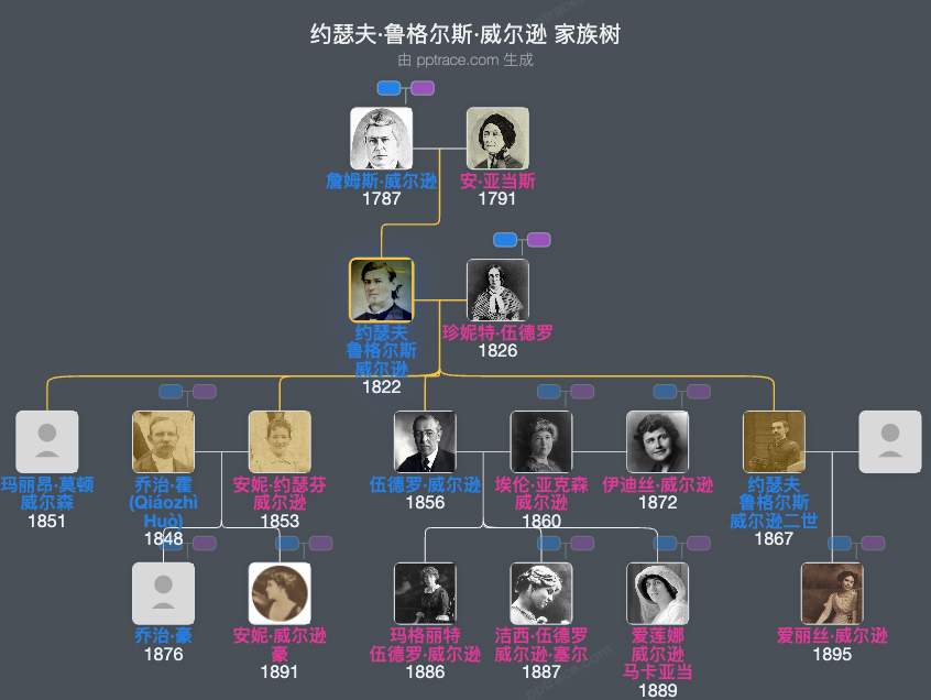 约瑟夫·鲁格尔斯·威尔逊家族树全览