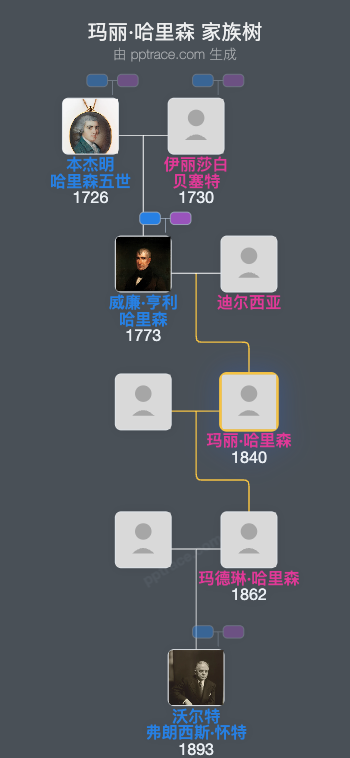 玛丽·哈里森家族树全览