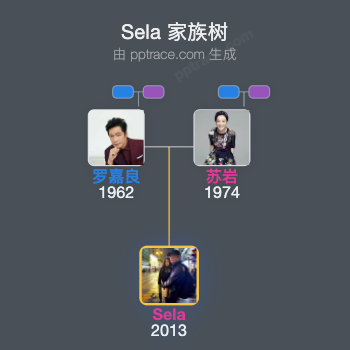 Sela 家族树全览