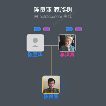 陈良亚 家族树全览