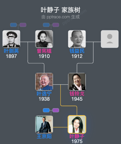 叶静子 家族树全览