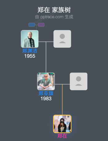 郑在 家族树全览