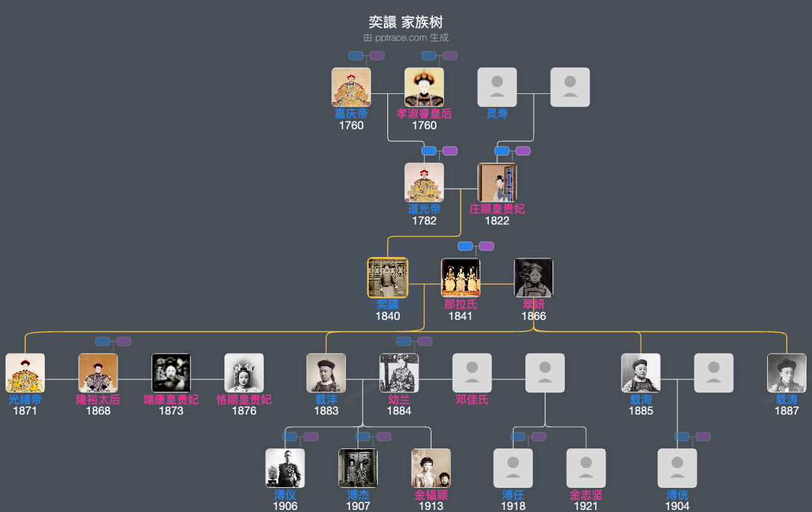奕譞 家族树全览
