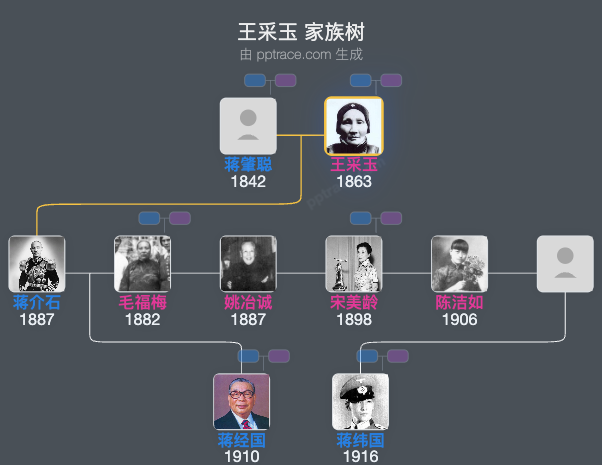 王采玉 家族树全览