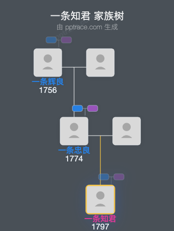 一条知君家族树全览