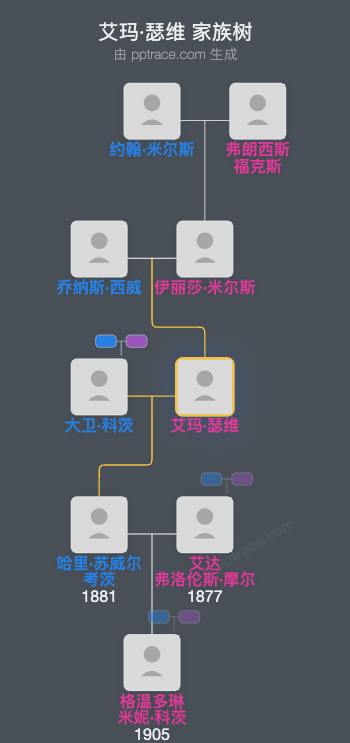 艾玛·瑟维家族树全览
