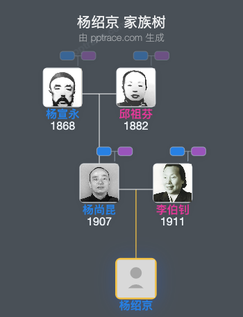 杨绍京 家族树全览