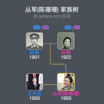 丛军(陈珊珊) 家族树全览