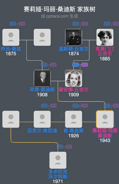 赛莉娅·玛丽·桑迪斯家族树全览