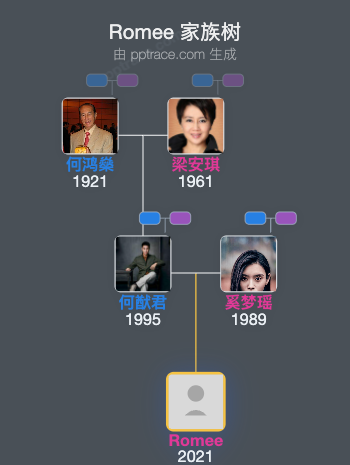 Romee 家族树全览