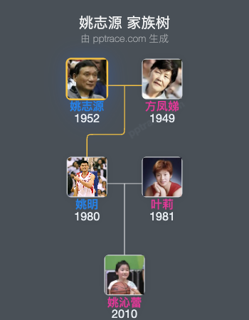 姚志源家族树全览