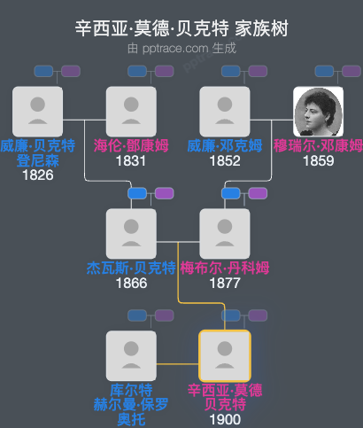 辛西亚·莫德·贝克特家族树全览