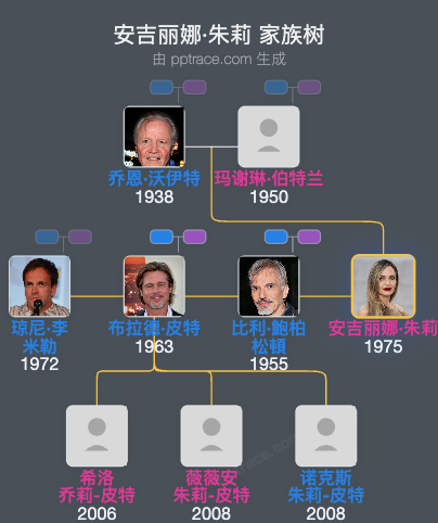 安吉丽娜·朱莉 家族树全览
