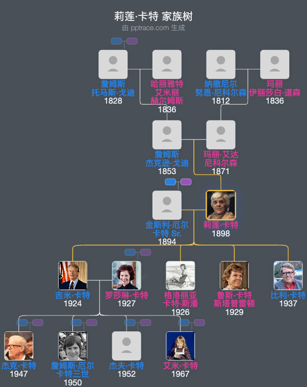 莉莲·卡特家族树全览