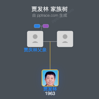 贾发林 家族树全览