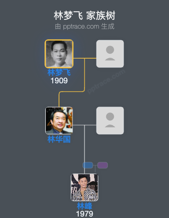林梦飞 家族树全览