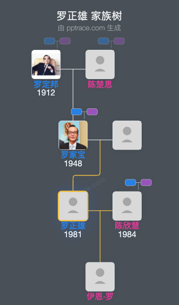 罗正雄 家族树全览