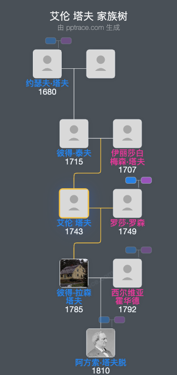 艾伦 塔夫家族树全览