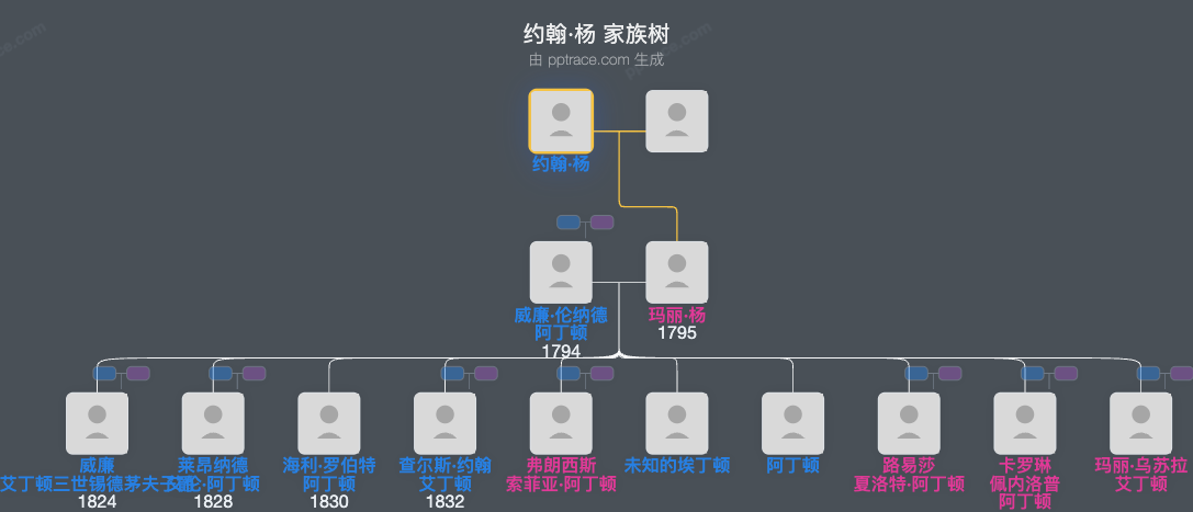 约翰·杨家族树全览