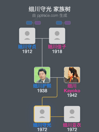 细川守光家族树全览