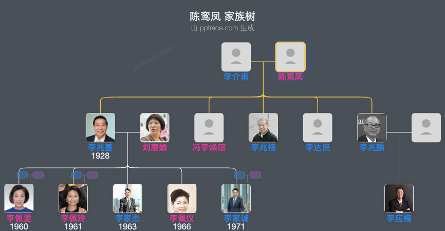 陈鸾凤 家族树全览