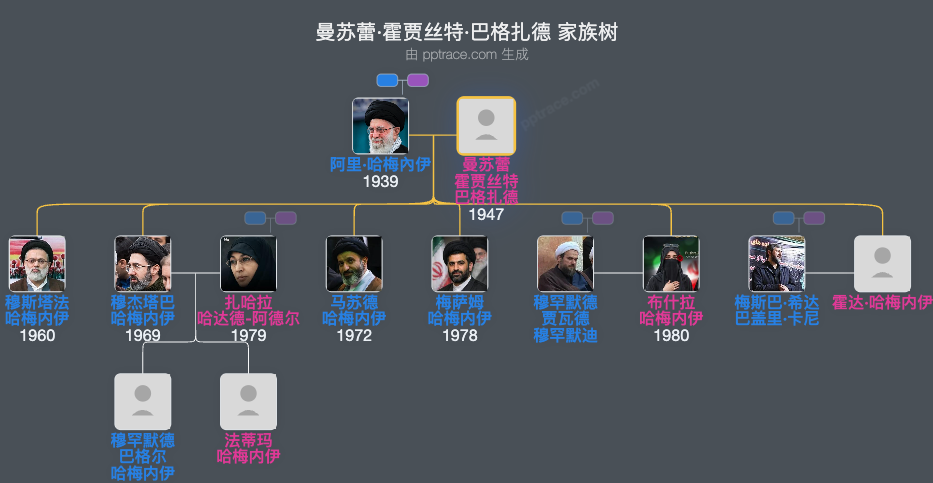 曼苏蕾·霍贾丝特·巴格扎德家族树全览