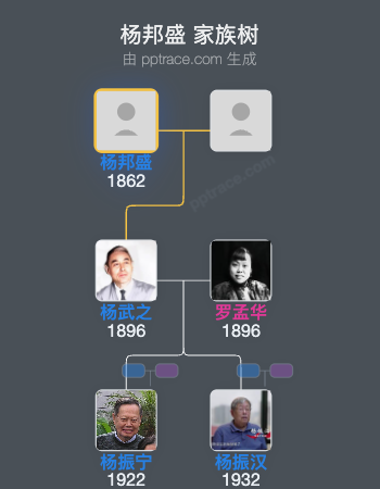 杨邦盛家族树全览