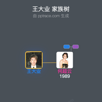 王大业 家族树全览