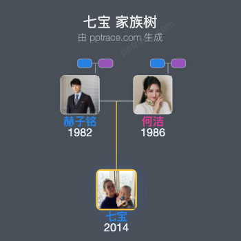 七宝 家族树全览