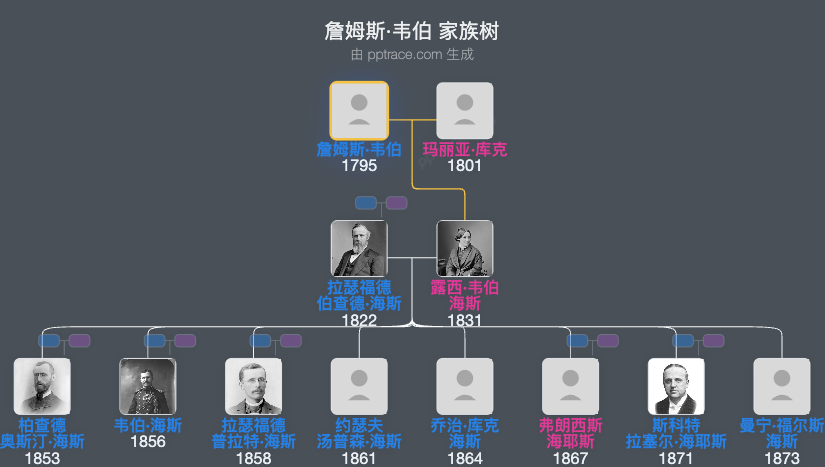 詹姆斯·韦伯家族树全览