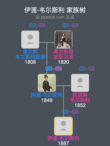 伊莲·韦尔斯利家族树全览