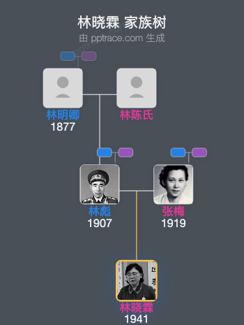 林晓霖 家族树全览
