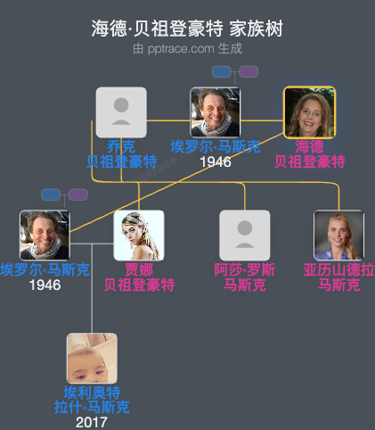 海德·贝祖登豪特 家族树全览