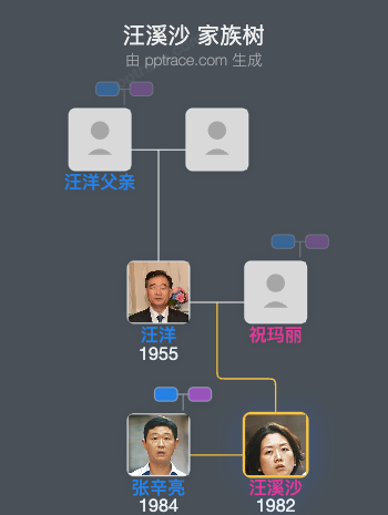 汪溪沙 家族树全览