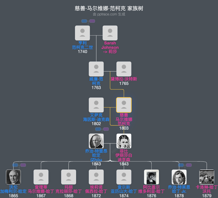 慈善·马尔维娜·范柯克家族树全览