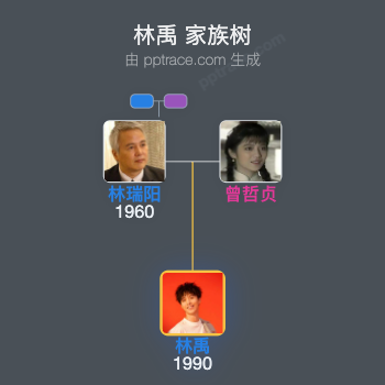 林禹 家族树全览