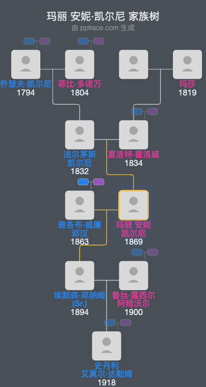玛丽 安妮·凯尔尼家族树全览