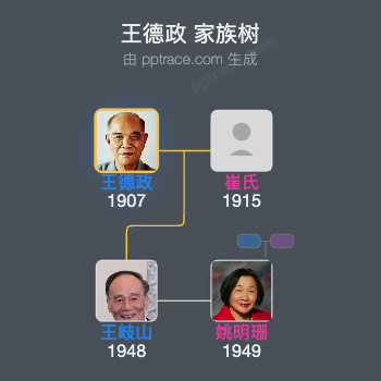 王德政 家族树全览