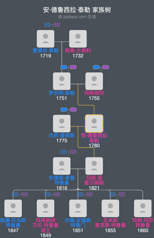 安·德鲁西拉·泰勒家族树全览