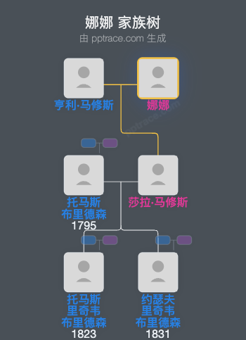 娜娜家族树全览