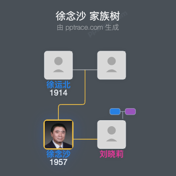 徐念沙 家族树全览