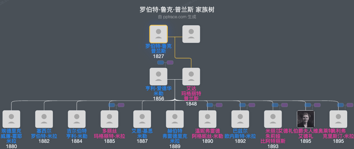 罗伯特·鲁克·普兰斯家族树全览